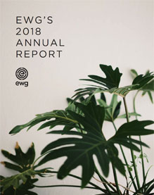 EWG Annual Report