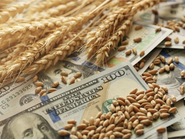 Money and grains